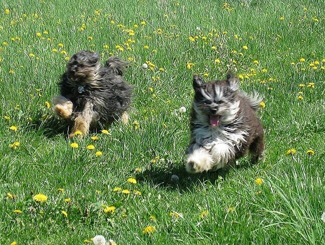 ... zwei dicke Freunde ... freuen sich auf den Sommer 