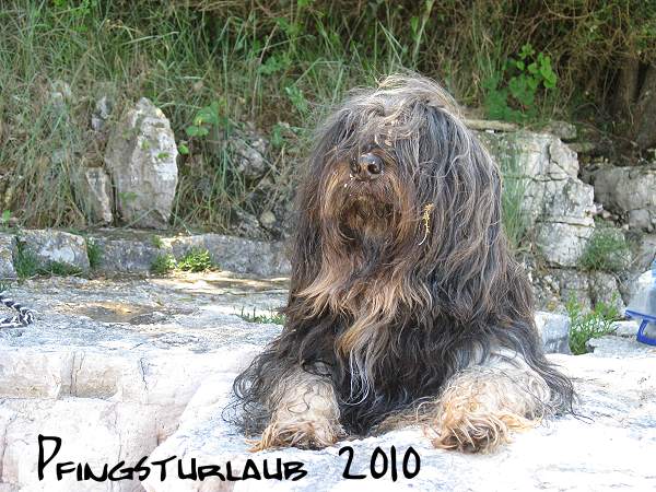 Kroatien - Pfingsturlaub 2010
