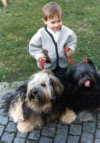 Norbu + Sammi mit Handler