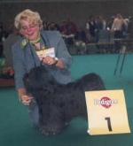 ... a dream came true! Second time at a world-dog-show Norbu became in Amsterdam 2002 - Best Male - and BOB Veteran!